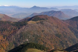 Obrázok