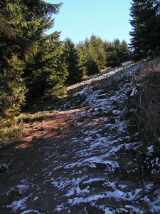 Obrázok