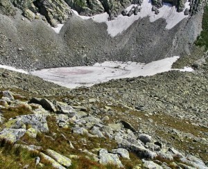 Obrázok
