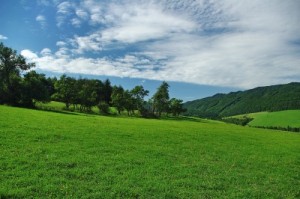 Obrázok
